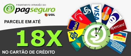 profissional da web pagamento facilitado